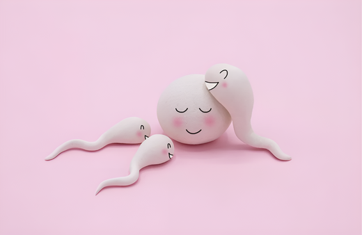 The Role of Nutrition in Fertility: The Best Foods to Eat When Trying to Get Pregnant