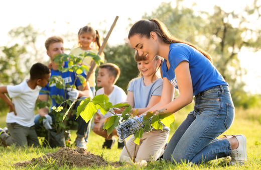 Teaching about environment